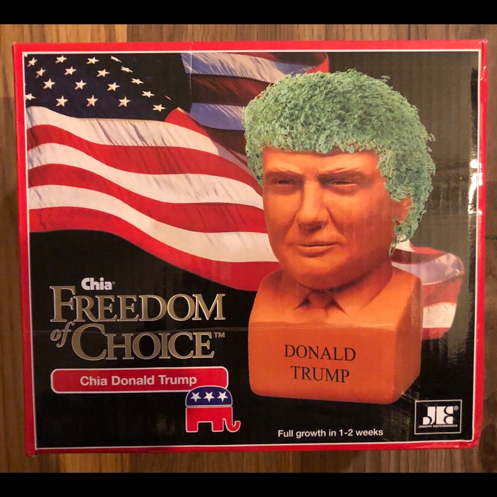 President Donald Trump Chia pet